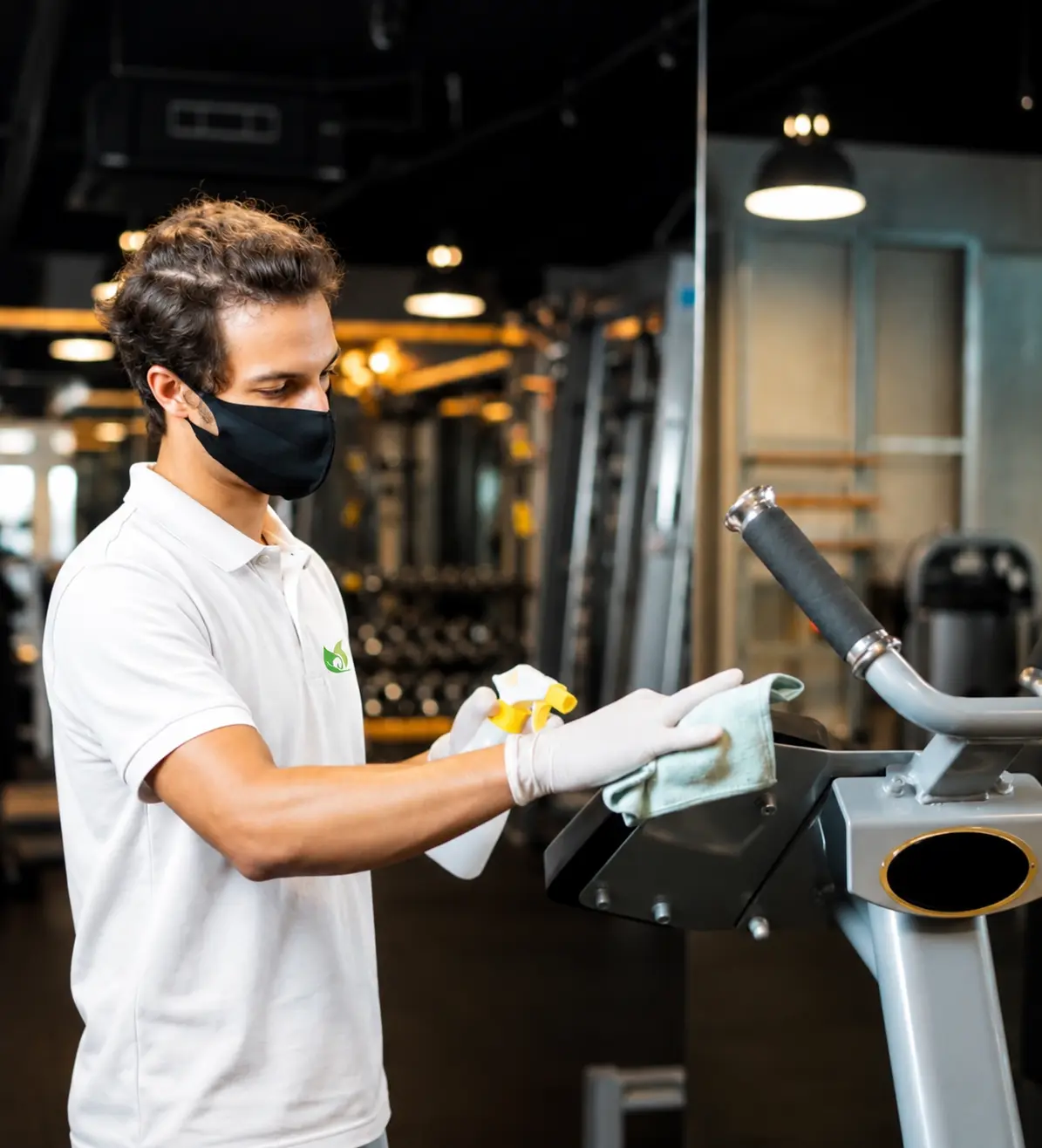 Professional cleaner in home
